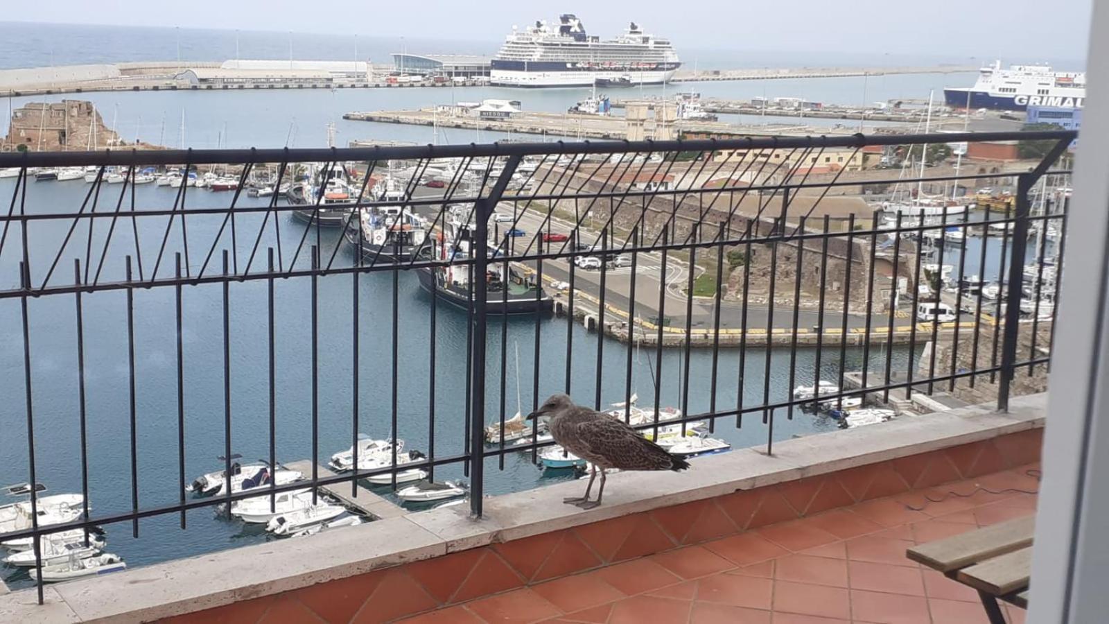 Mare Fuori Apartment Civitavecchia Ngoại thất bức ảnh
